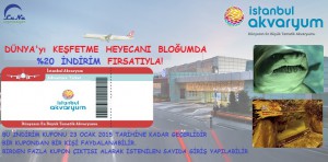 istanbul akvaryum